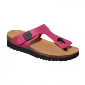 boa-vista-up-scholl-f2771810-11.jpg