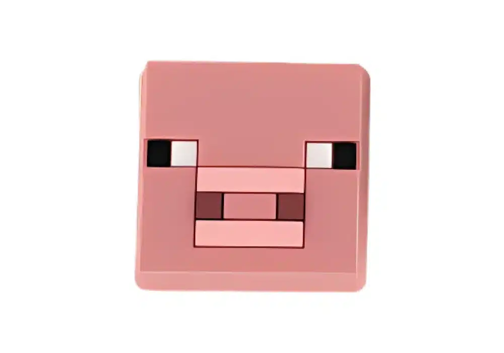 Jibbitz Minecraft