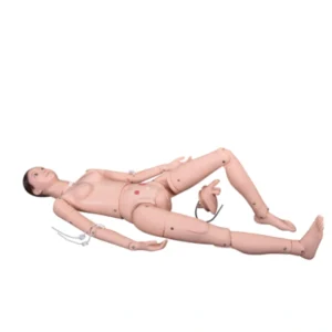 Mannequin multifonctionnel de formation en soins avancés