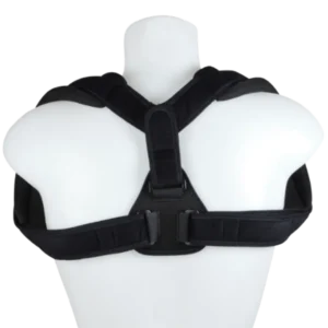 Ceinture claviculaire